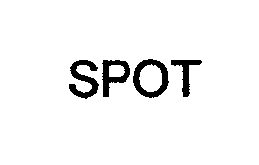  SPOT