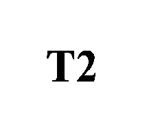  T2