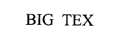 Trademark Logo BIG TEX