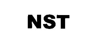 Trademark Logo NST