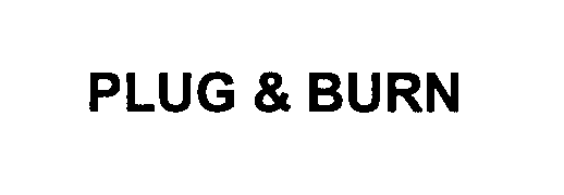 Trademark Logo PLUG & BURN