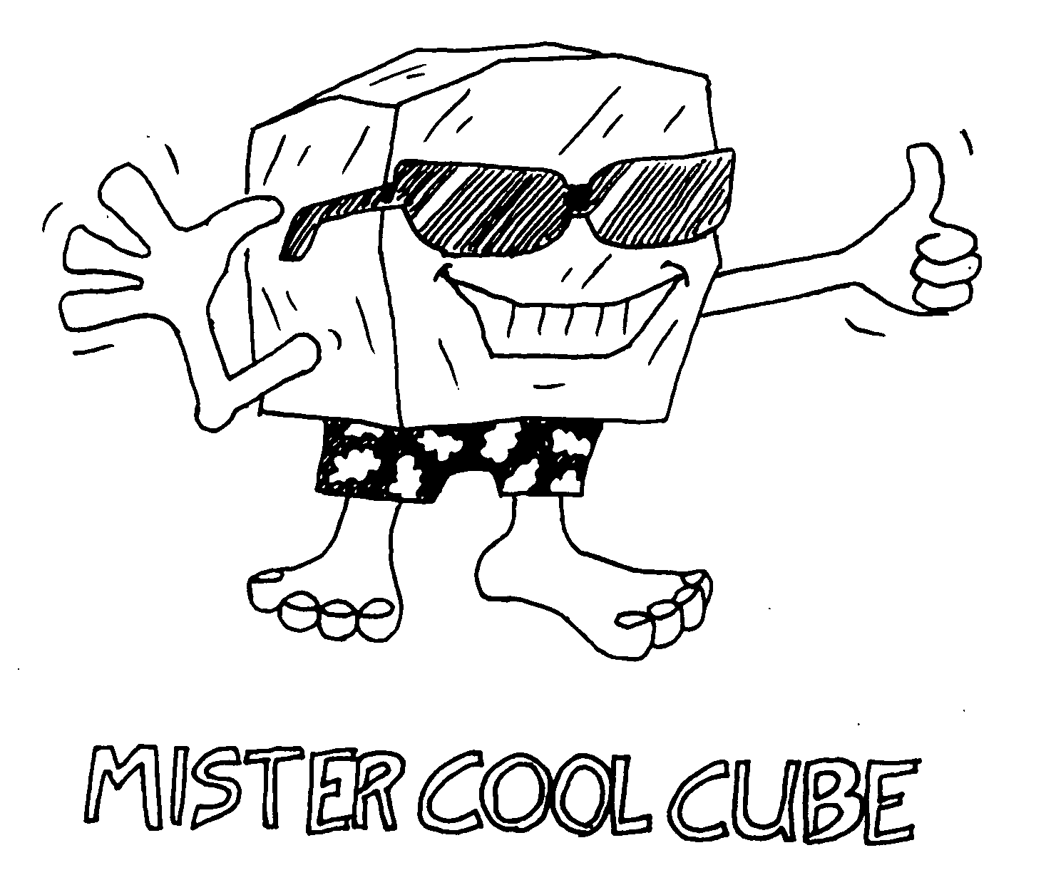 Trademark Logo MISTER COOL CUBE