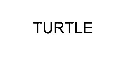 Trademark Logo TURTLE