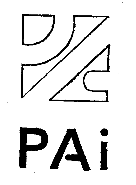  PAI