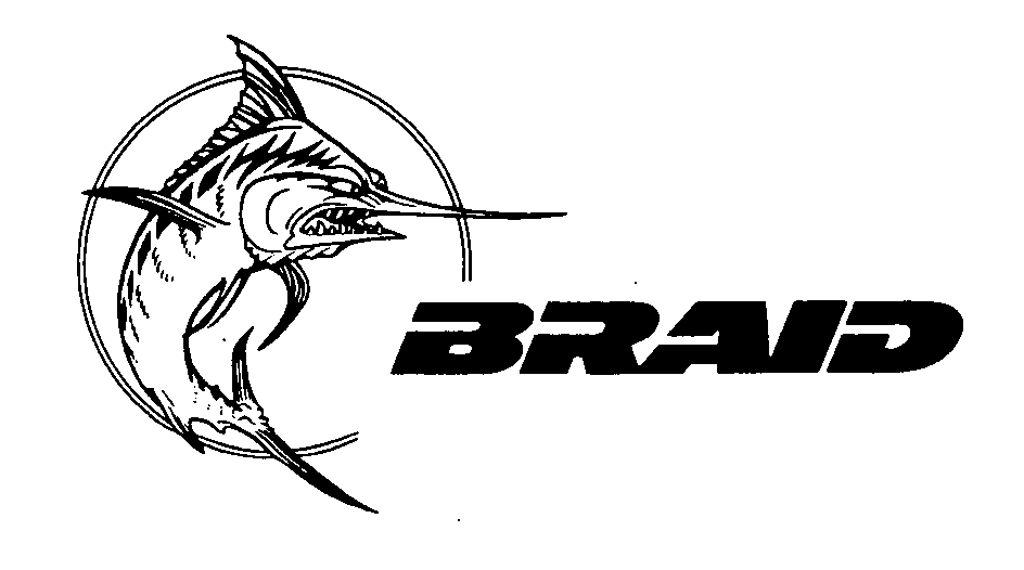 Trademark Logo BRAID