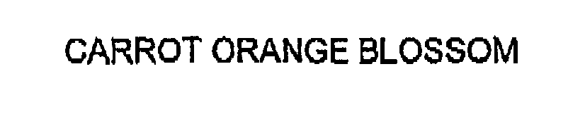 Trademark Logo CARROT ORANGE BLOSSOM