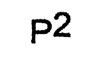 Trademark Logo P2