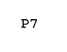 Trademark Logo P7