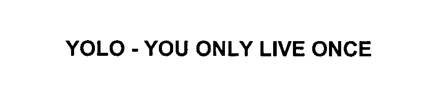  YOLO - YOU ONLY LIVE ONCE