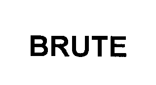  BRUTE