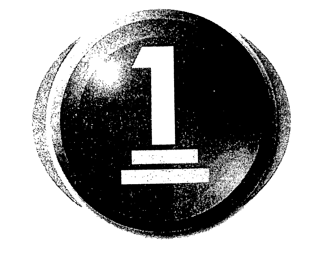 Trademark Logo 1
