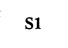 S1