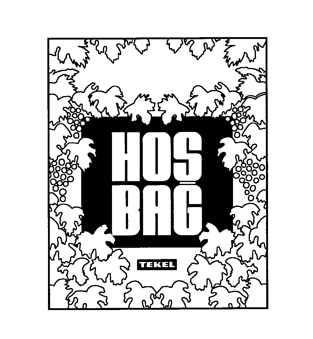  HOS BAG TEKEL