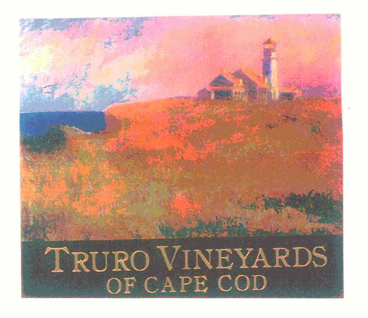  TRURO VINEYARDS OF CAPE COD