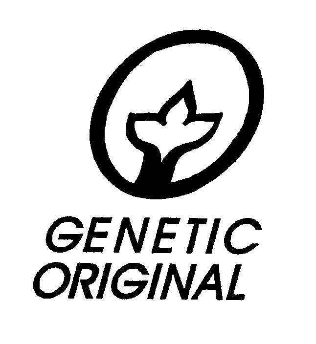  GENETIC ORIGINAL