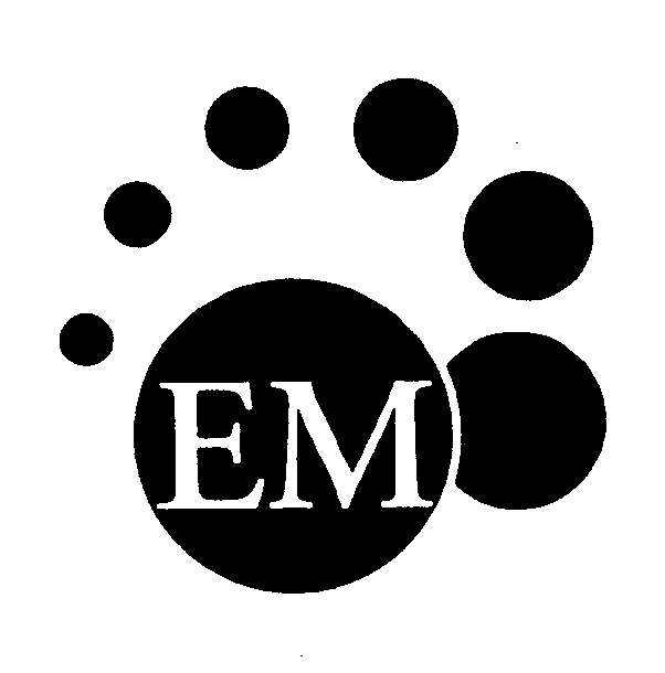  EM