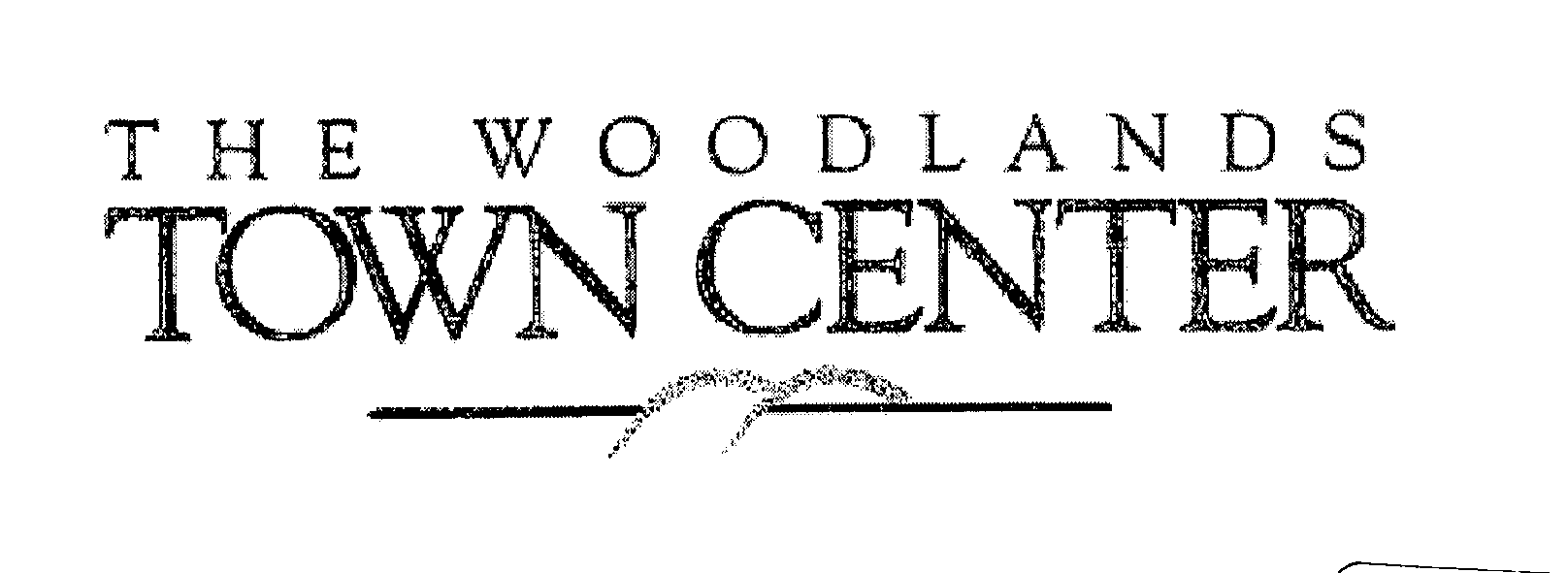  THE WOODLANDS TOWN CENTER