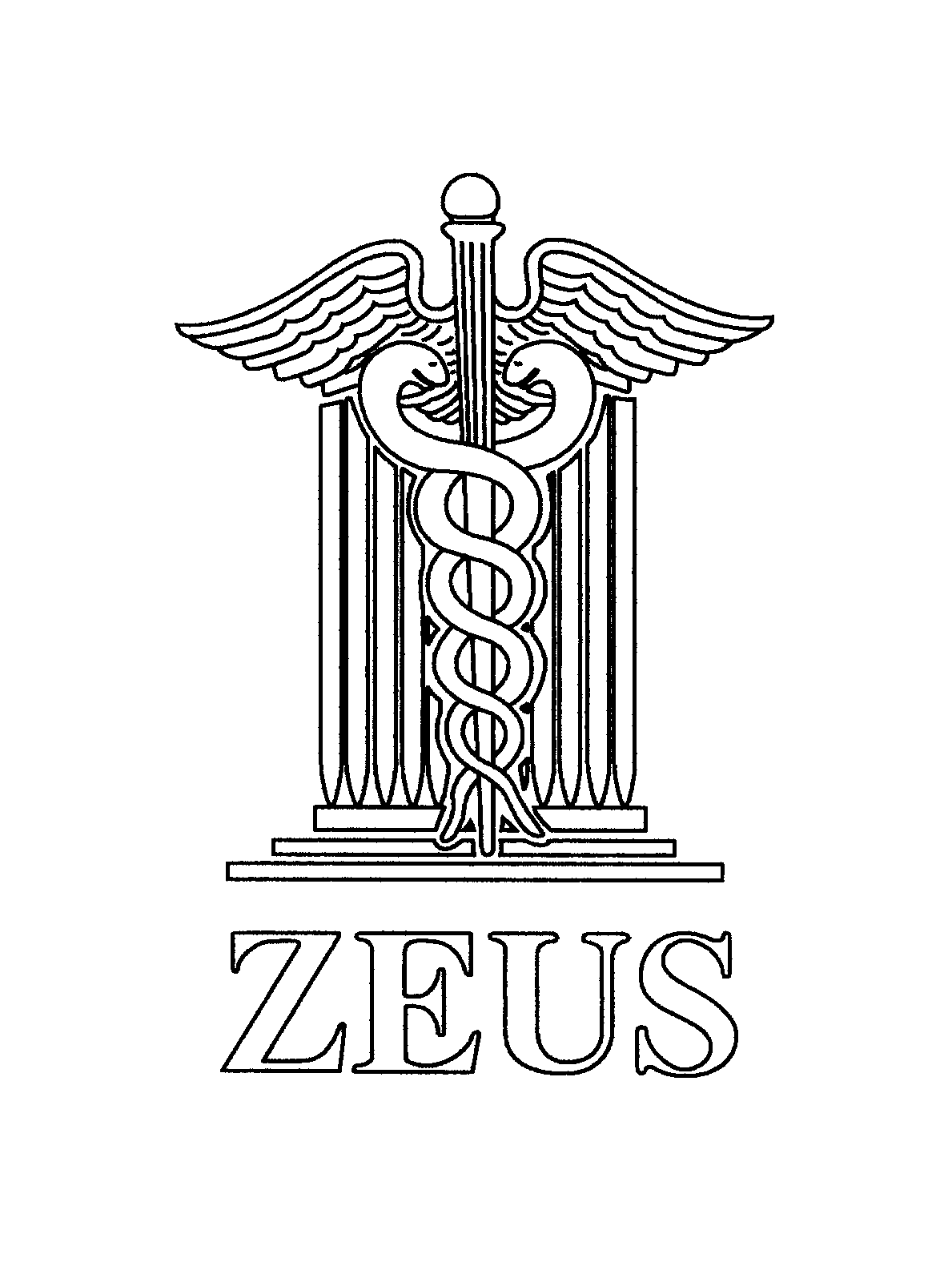  ZEUS