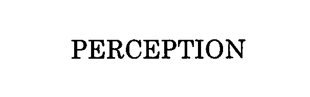 Trademark Logo PERCEPTION