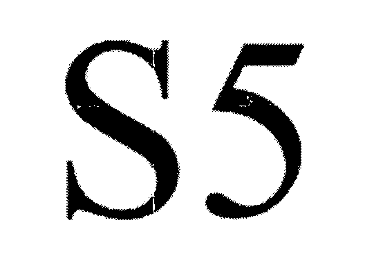  S5