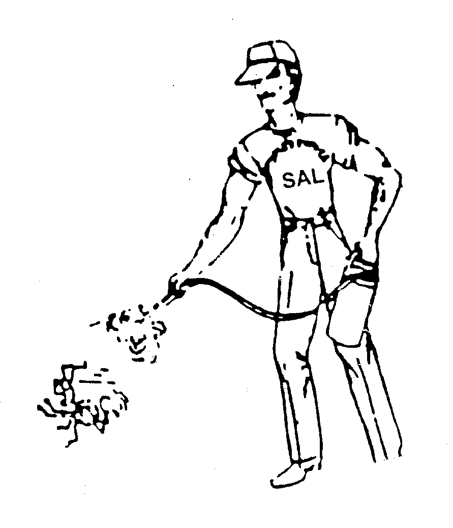  SAL