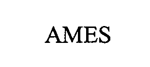 Trademark Logo AMES