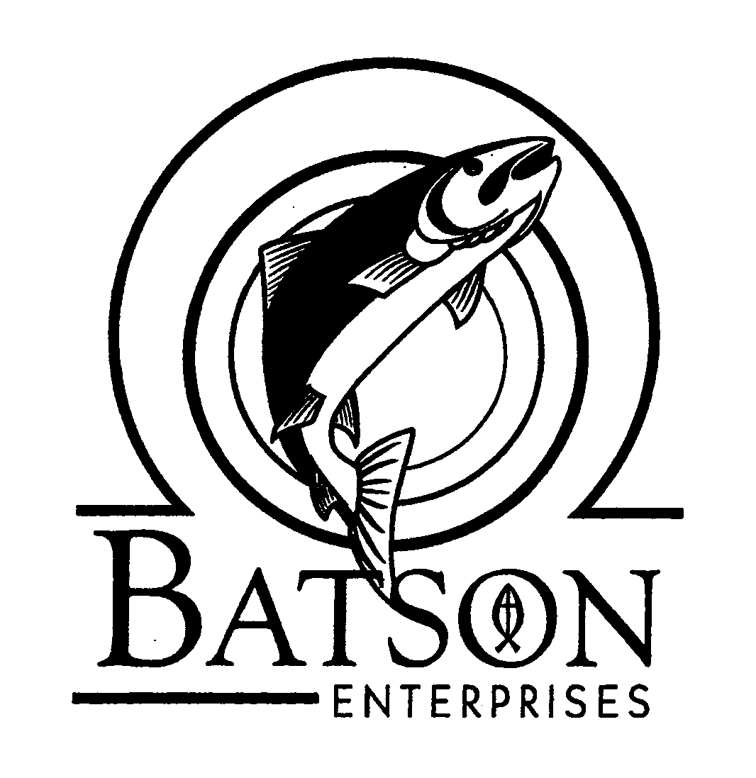 Trademark Logo BATSON ENTERPRISES
