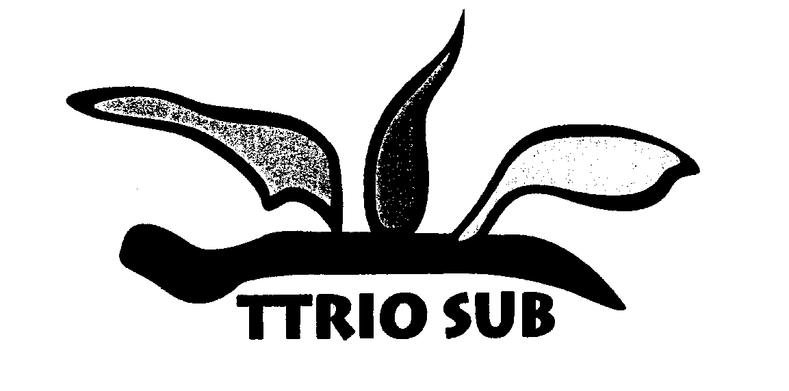  TTRIO SUB