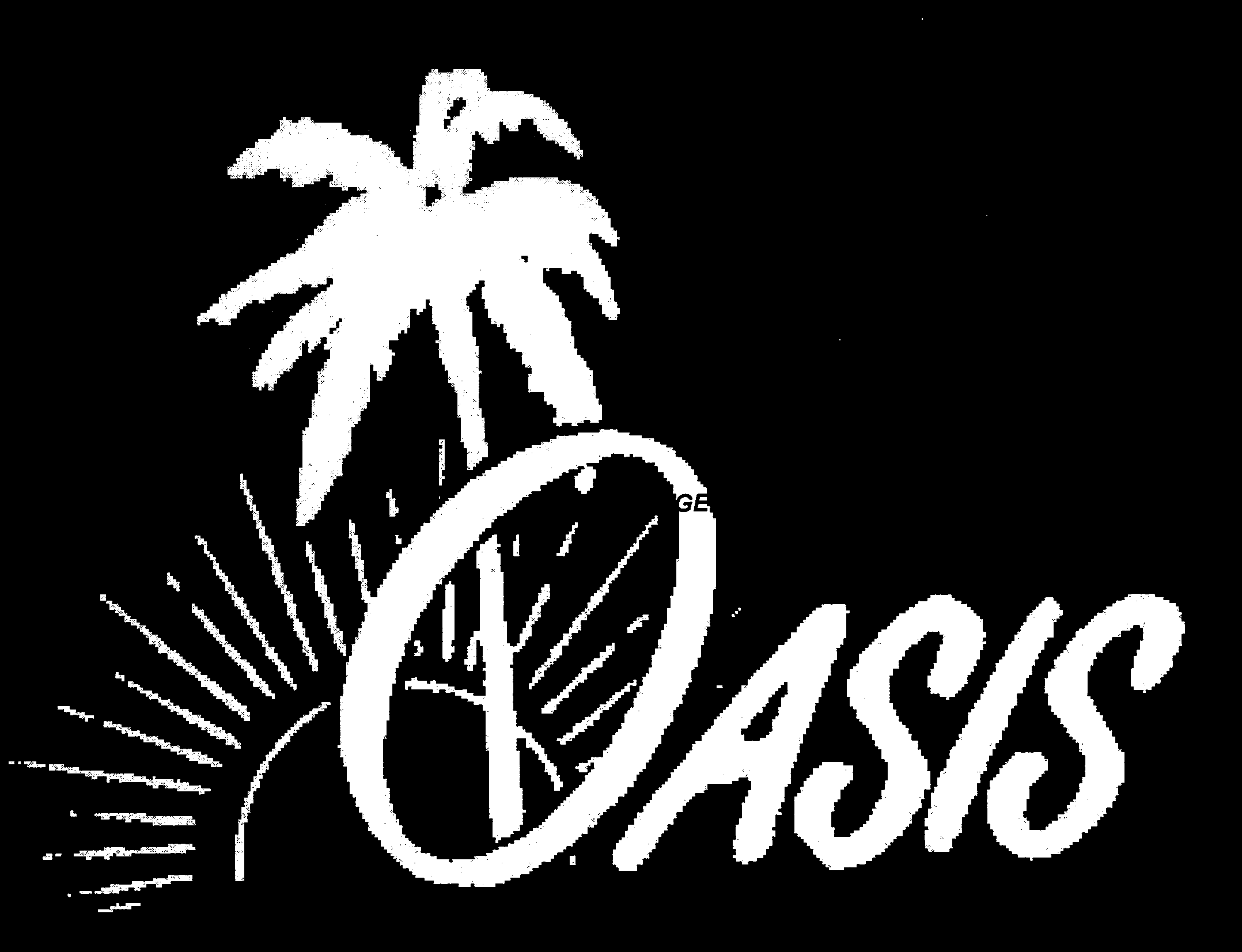  OASIS