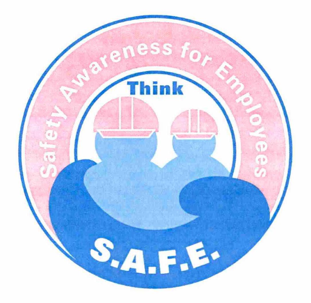  SAFETY AWARENESS FOR EMPLOYEES THINK S.A.F.E.