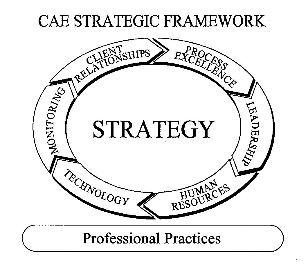  CAE STRATEGIC FRAMEWORK PROFESSIONAL PRACTICES CLIENT RELATIONSHIPS PROCESS EXCELLENCE LEADERSHIP HUMAN RESOURCES TECHNOLOGY MONITORING