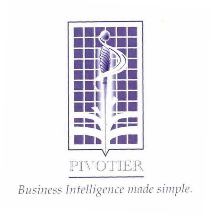  PIVOTIER BUSINESS INTELLIGENCE MADE SIMPLE