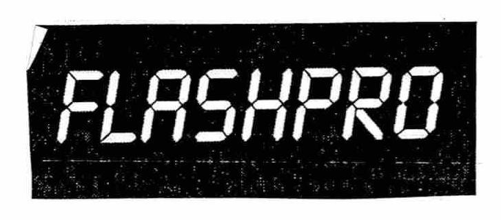 Trademark Logo FLASHPRO