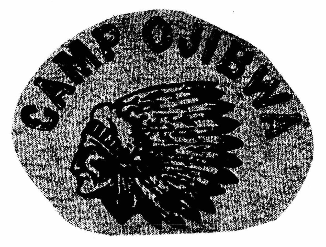 Trademark Logo CAMP OJIBWA