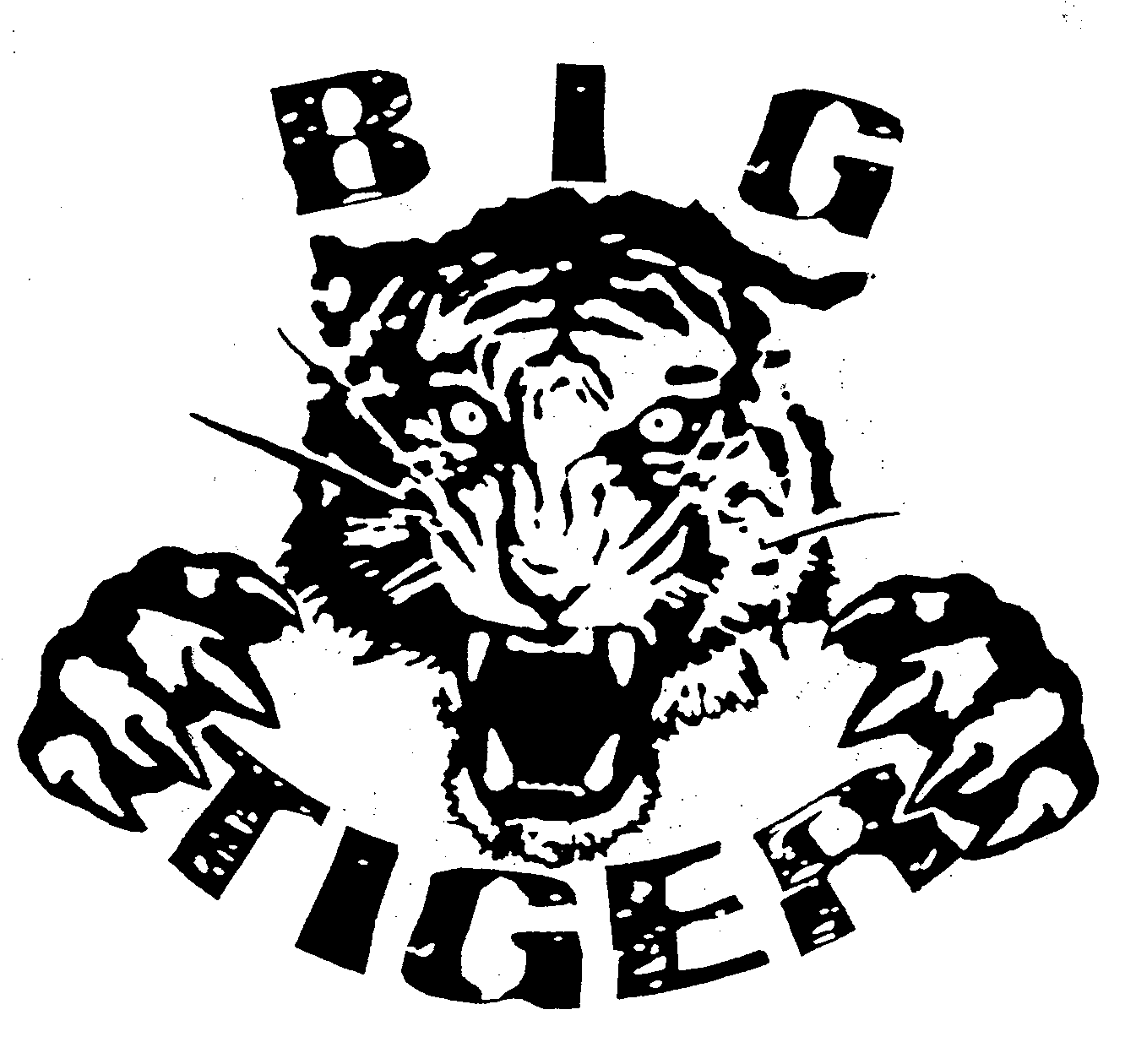 Trademark Logo BIG TIGER