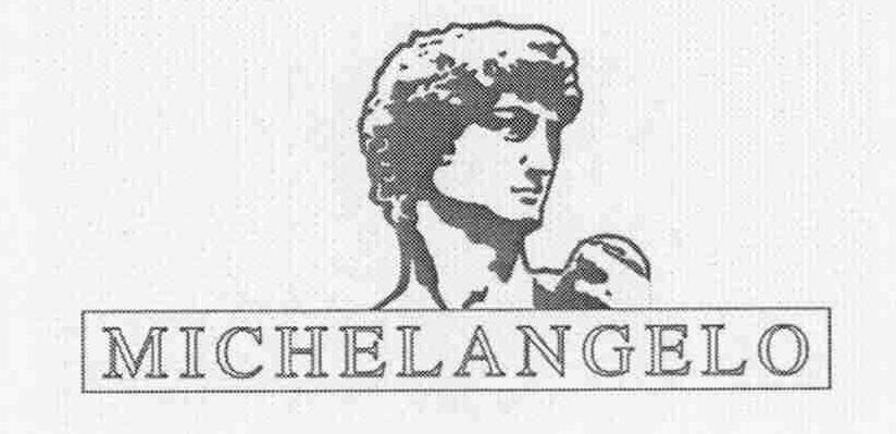 Trademark Logo MICHELANGELO