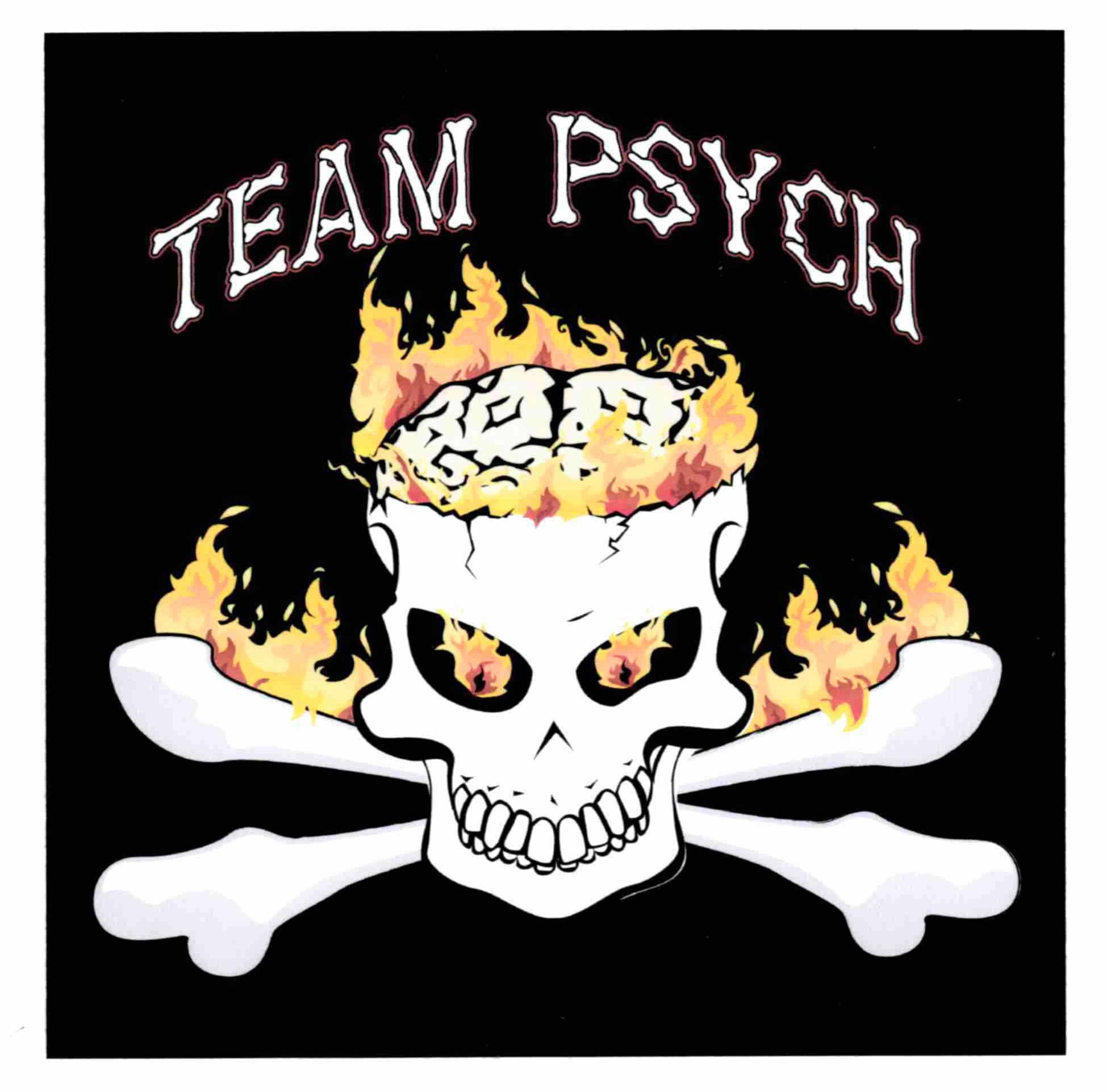 Trademark Logo TEAM PSYCH