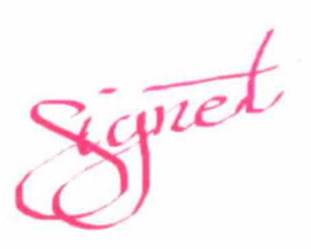 Trademark Logo SIGNET