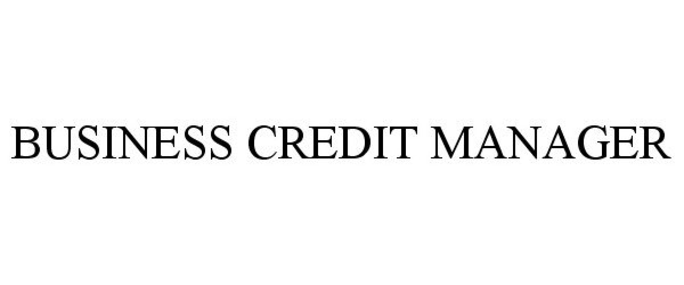  BUSINESS CREDIT MANAGER