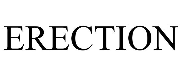 Trademark Logo ERECTION