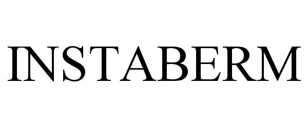 Trademark Logo INSTABERM