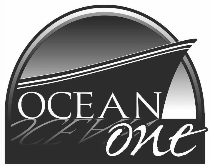 OCEAN ONE