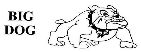 Trademark Logo BIG DOG