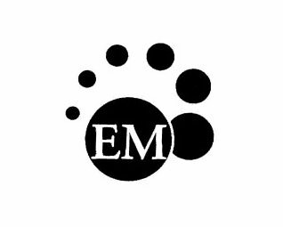 Trademark Logo EM