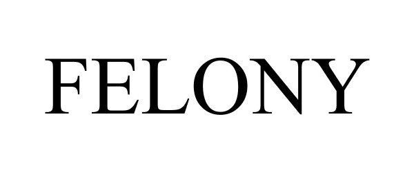 Trademark Logo FELONY