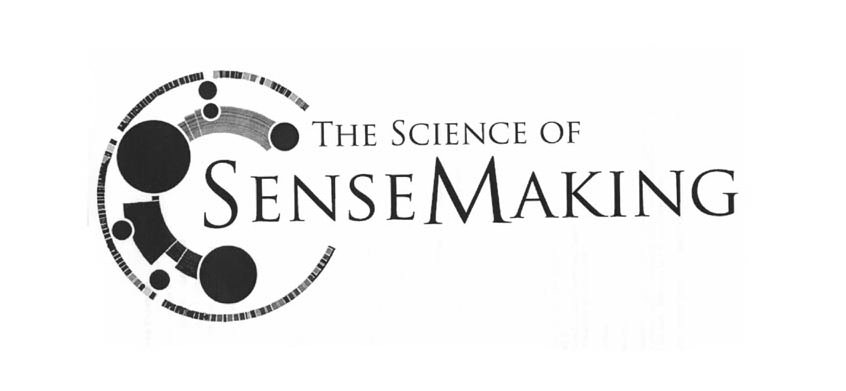  THE SCIENCE OF SENSEMAKING