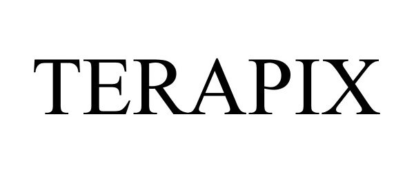  TERAPIX