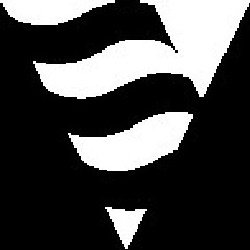 Trademark Logo VSM