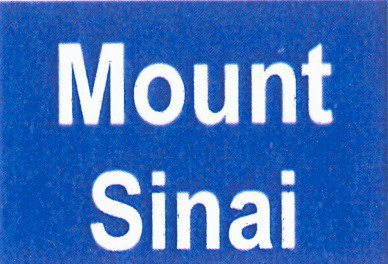  MOUNT SINAI
