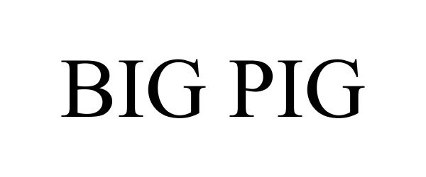 Trademark Logo BIG PIG